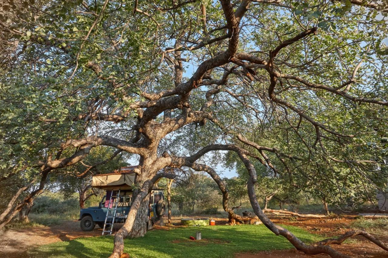 Zuricamp - Campsite Halishi Цумеб Екстер'єр фото