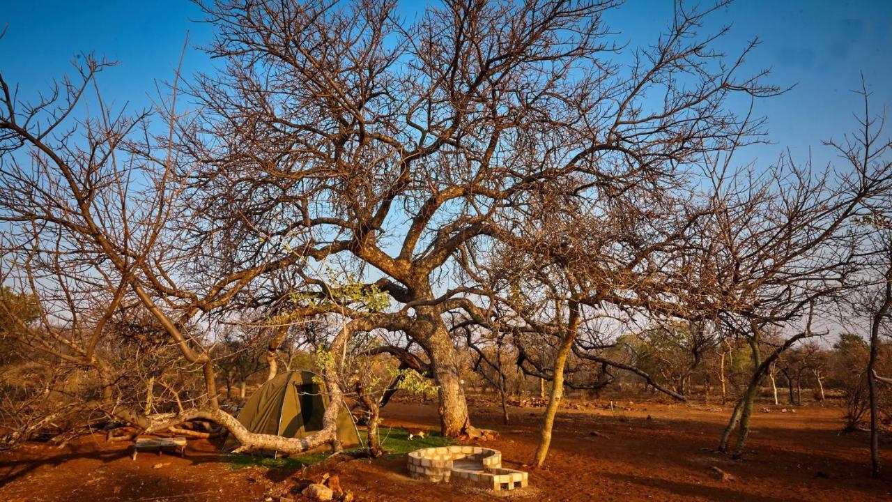 Zuricamp - Campsite Halishi Цумеб Екстер'єр фото